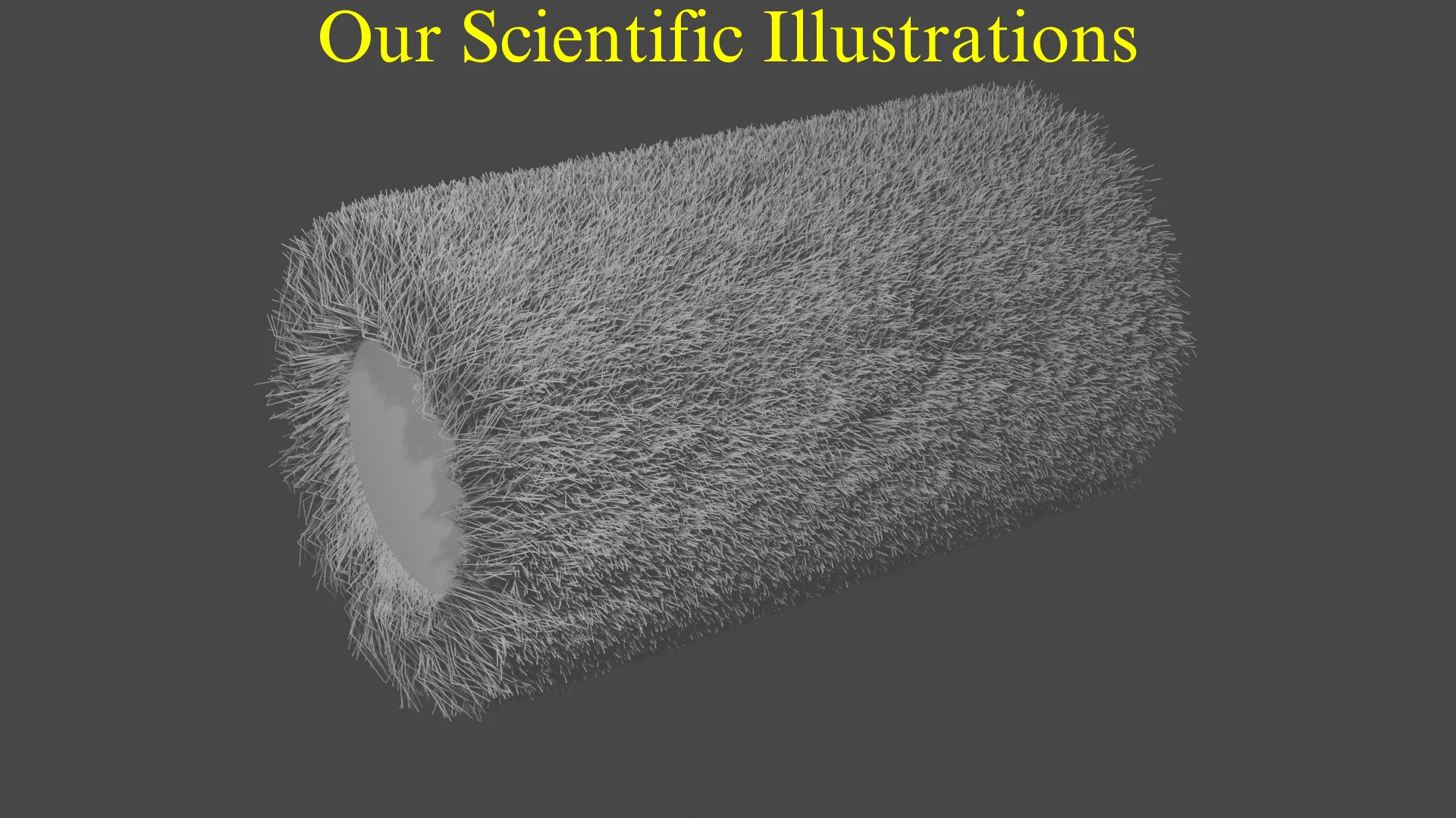 3D Schematic