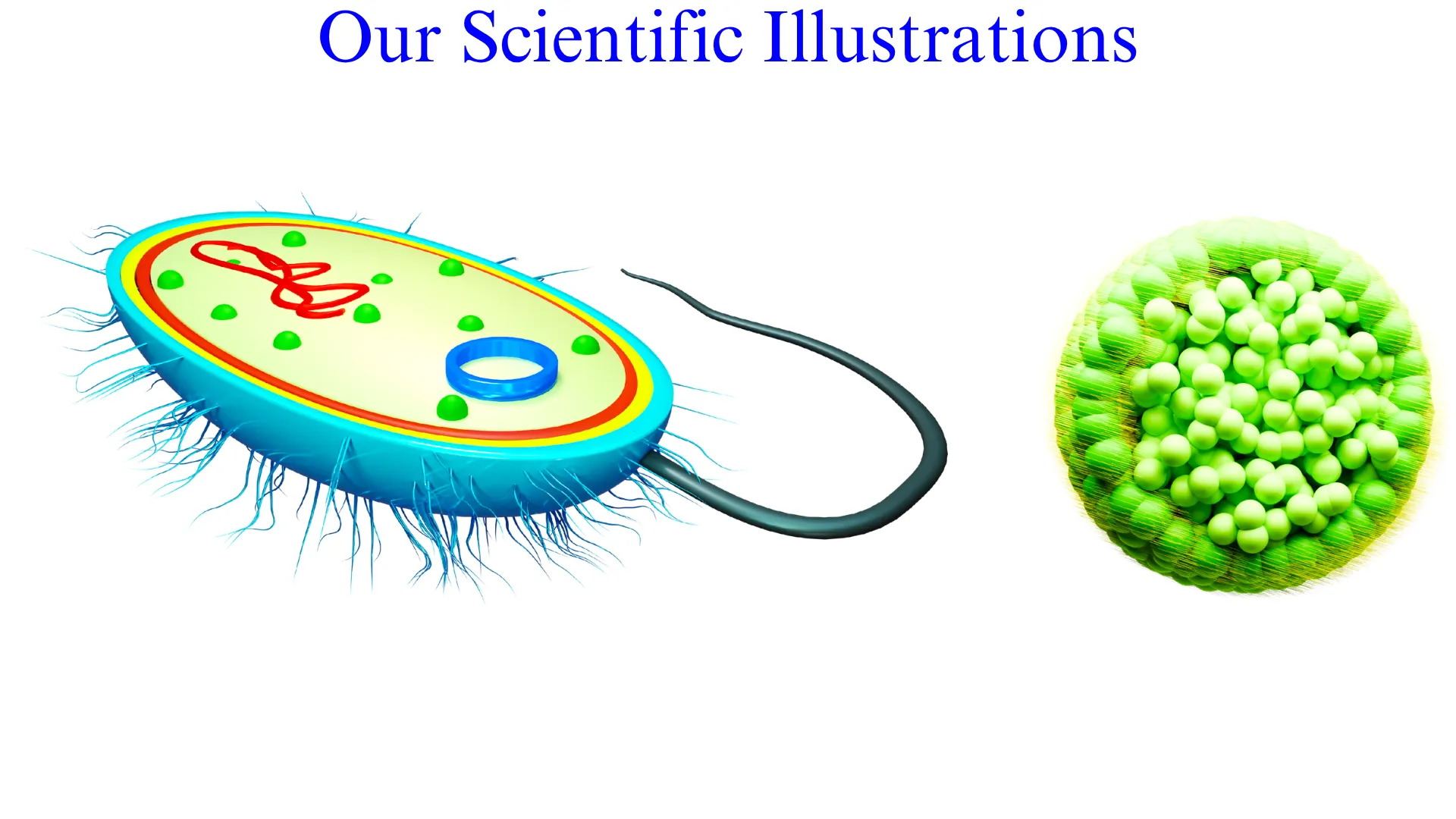 3D Schematic